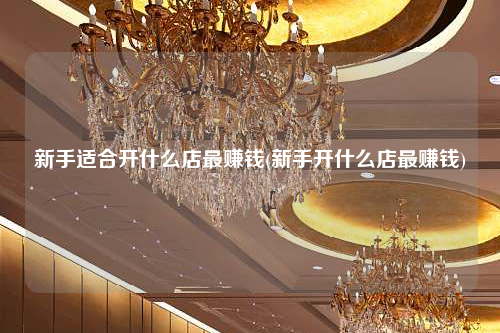 新手適合開什么店最賺錢(新手開什么店最賺錢)