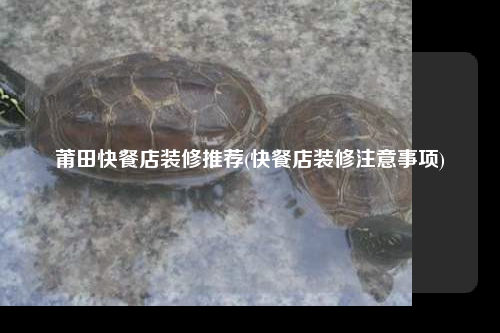 莆田快餐店裝修推薦(快餐店裝修注意事項)