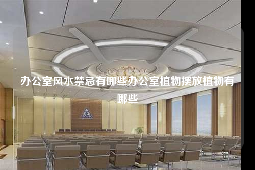 辦公室風(fēng)水禁忌有哪些辦公室植物擺放植物有哪些