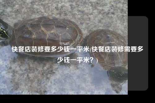 快餐店裝修要多少錢一平米(快餐店裝修需要多少錢一平米?)