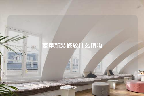 家里新裝修放什么植物