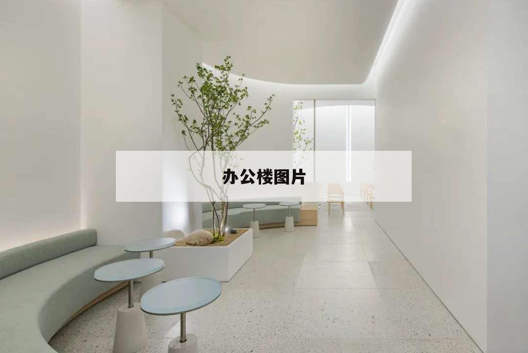 辦公樓圖片,毛坯辦公樓圖片