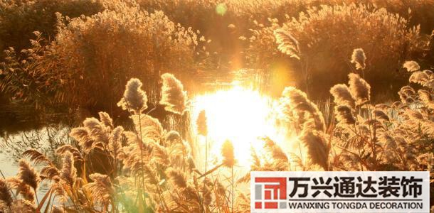 張學良風水張學良風水說